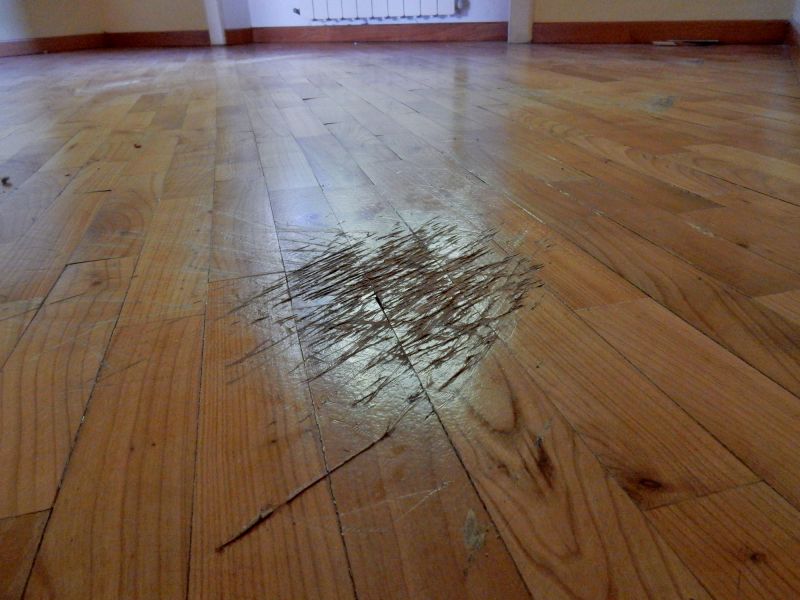 Wood Floor Scratch Repair in Montgomery County, TX